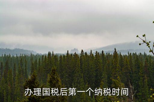 報稅后什么時候交稅，辦理國稅后第一個納稅時間