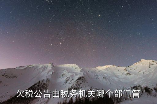 欠稅公告由稅務(wù)機(jī)關(guān)哪個部門管