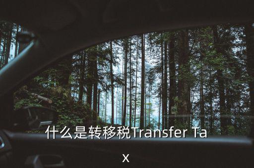 什么是跨地區(qū)稅收轉(zhuǎn)移企業(yè)，什么是轉(zhuǎn)移稅Transfer Tax