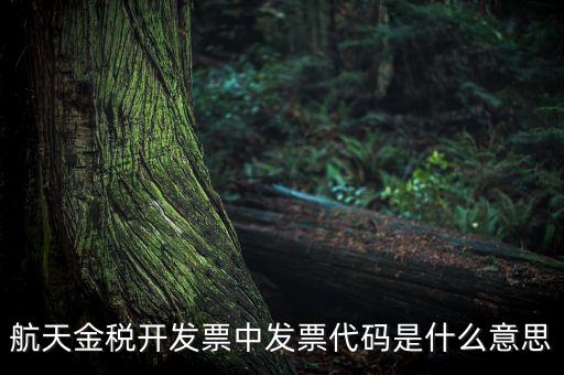 增值稅的航天編碼是什么，航天金稅 自動開票 怎么獲取 發(fā)票代碼 發(fā)票號碼