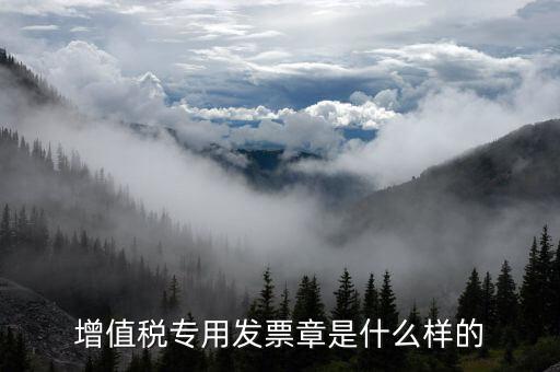 發(fā)票專用章什么樣子，增值稅專用發(fā)票章是什么樣的