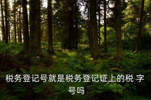 稅務(wù)登記證是什么字體，稅務(wù)登記證上的這是什么字體