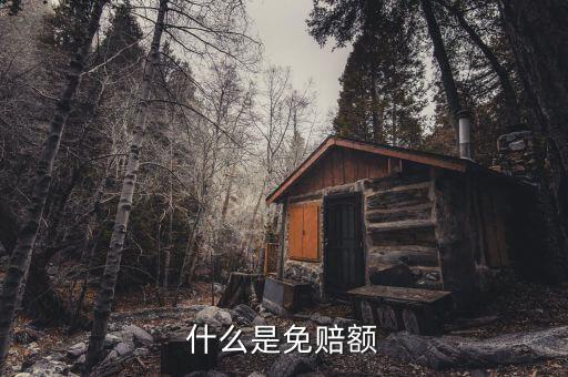 什么是免抵調(diào)庫，什么叫保險(xiǎn)理賠免調(diào)查件