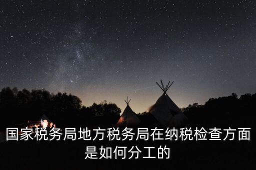 地方稅務(wù)局一案雙查是什么意思，國稅局一二稽查大隊(duì)是何意思