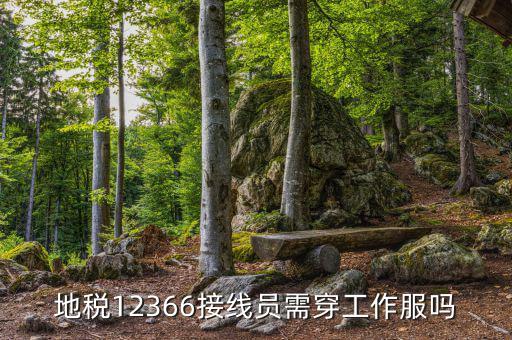 12366地稅主要負(fù)責(zé)什么，地稅是指什么