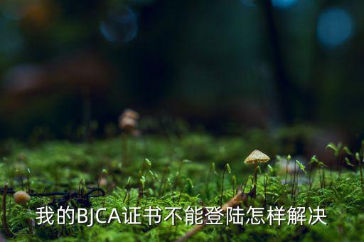 為什么ca證書不能登錄，我的BJCA證書不能登陸怎樣解決