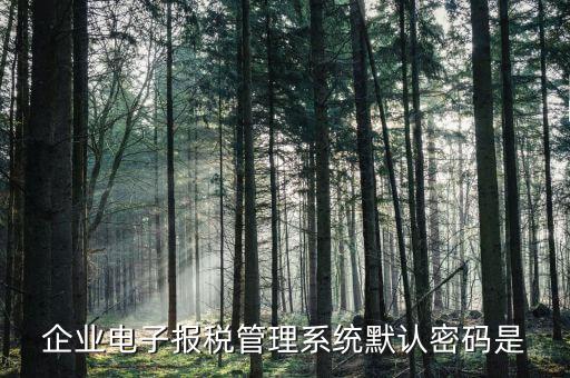 電子稅務(wù)局的初始密碼是什么，稅務(wù)局網(wǎng)站的登入賬戶初始密碼是什么