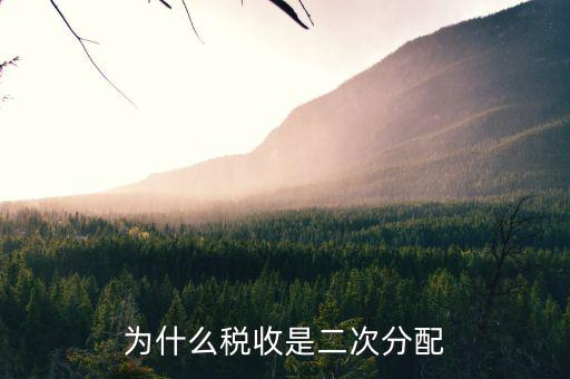 稅務(wù)雙公示是什么意思，為什么稅收是二次分配