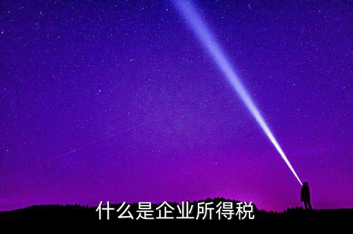 什么是公司所得稅，企業(yè)所得稅是什么意思