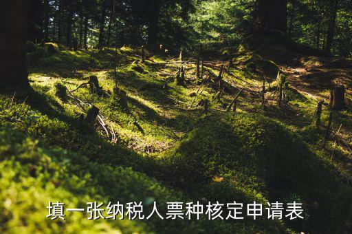 交票種核定表是什么，納稅人領(lǐng)購(gòu)發(fā)票票種核定申請(qǐng)表如何填寫