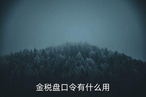 報稅數(shù)字證書口令是什么，陜西天暢偉業(yè)的網(wǎng)上報稅系統(tǒng)的登錄口令是什么
