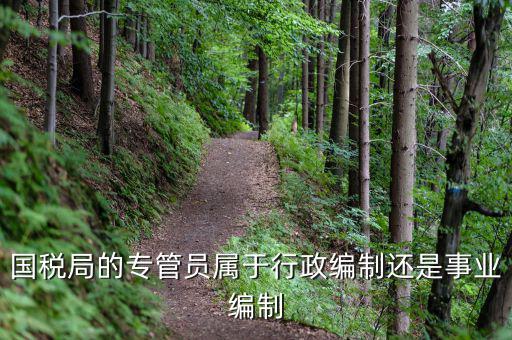廣州國稅局專管員 是什么，ABC400國稅報稅軟件上可以查詢到專管員是誰嗎