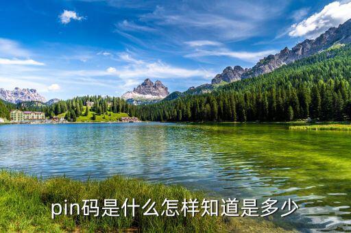 稅控盤pin碼是什么意思，pin碼是啥碼