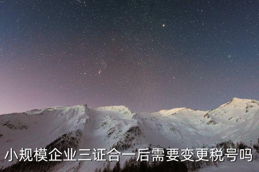 什么情況需要變更稅號(hào)，小規(guī)模企業(yè)三證合一后需要變更稅號(hào)嗎