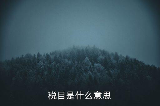 增值稅稅目是什么，增值稅是什么稅是什么