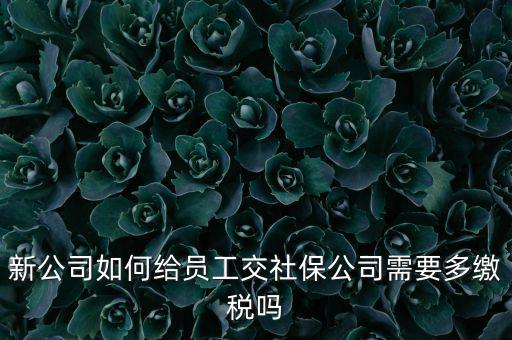 公司交社保要交什么稅，企業(yè)為員工交養(yǎng)老保險(xiǎn)要不要交稅的