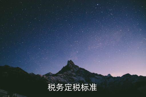 定稅是什么標準，稅務(wù)定稅標準