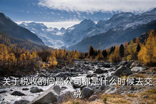每個什么時候交稅，關于稅收的問題公司都是什么時候去交稅