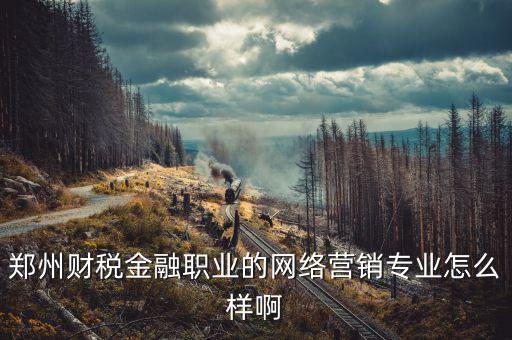 互聯(lián)網(wǎng)財(cái)稅銷售是什么，鄭州財(cái)稅金融職業(yè)的網(wǎng)絡(luò)營(yíng)銷專業(yè)怎么樣啊