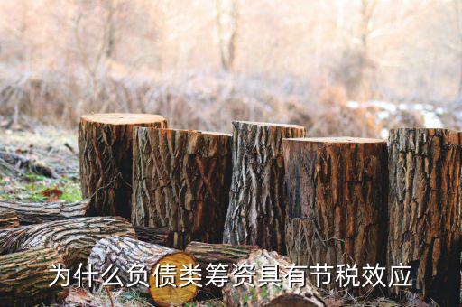什么是節(jié)稅，為什么負債類籌資具有節(jié)稅效應