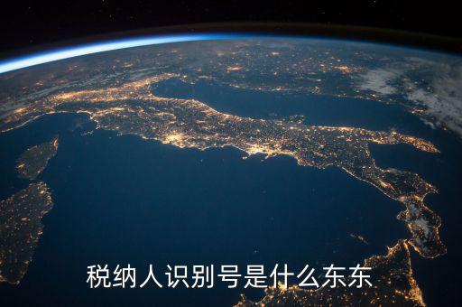 企業(yè)稅務(wù)識別號是什么意思，稅納人識別號是什么東東