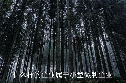 什么屬于小微企業(yè)，小微企業(yè)是什么