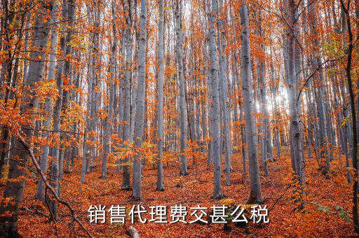 代理費(fèi)繳納什么稅，銷(xiāo)售代理費(fèi)交甚么稅