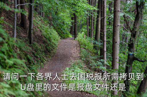 稅務(wù)報(bào)盤文件是什么，請(qǐng)問一下各界人士去國稅報(bào)所需拷貝到U盤里的文件是報(bào)盤文件還是
