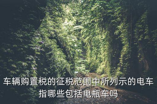 有軌電車征收什么稅，車輛購置稅的征稅范圍中所列示的電車指哪些包括電瓶車嗎