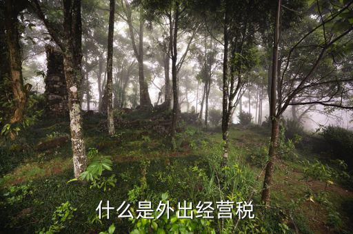 什么是外出經(jīng)營，什么情況屬于外出經(jīng)營