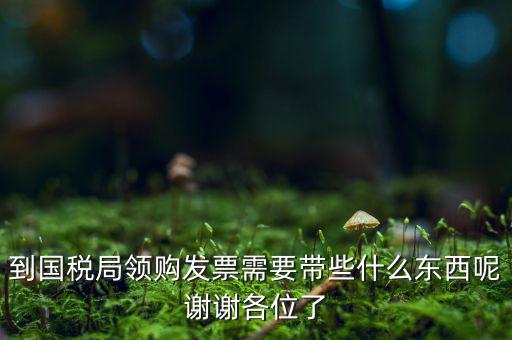 國(guó)稅局領(lǐng)票帶什么東西，去稅務(wù)局領(lǐng)發(fā)票需要帶什么資料去