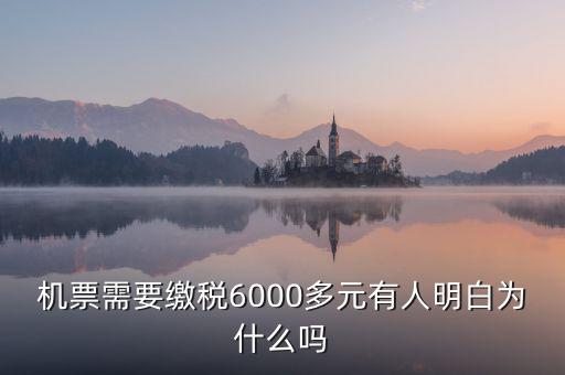 為什么國(guó)際機(jī)票要收稅，國(guó)際機(jī)票為什么要另外交稅費(fèi)