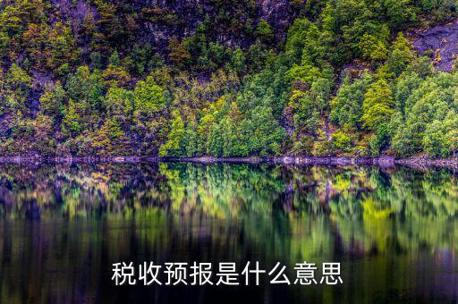 稅收預(yù)測什么意思，稅收分析和稅收預(yù)測是什么關(guān)系稅收分析預(yù)測制度 應(yīng)該怎么從哪方面