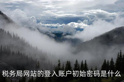 廣東國稅網(wǎng)登錄密碼是什么意思，稅務(wù)局網(wǎng)站的登入賬戶初始密碼是什么