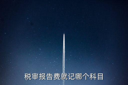 稅審費計入什么科目，稅審費屬于哪個科目