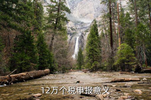 12萬為什么個(gè)稅申報(bào)表，12萬以上個(gè)人所得稅申報(bào)是什么意思