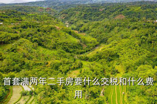 賣滿2年的房子交什么稅，商品房滿2年了出售的話需要交哪些稅詳細(xì)點(diǎn)
