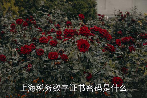 稅務(wù)數(shù)字證書密碼是什么，稅務(wù)密鑰是什么東西是數(shù)字證書嗎