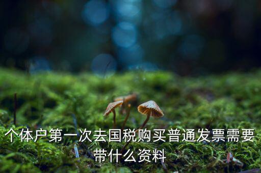 個(gè)體戶第一次去國(guó)稅購(gòu)買(mǎi)普通發(fā)票需要帶什么資料