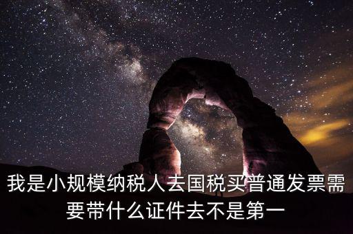 我是小規(guī)模納稅人去國(guó)稅買普通發(fā)票需要帶什么證件去不是第一