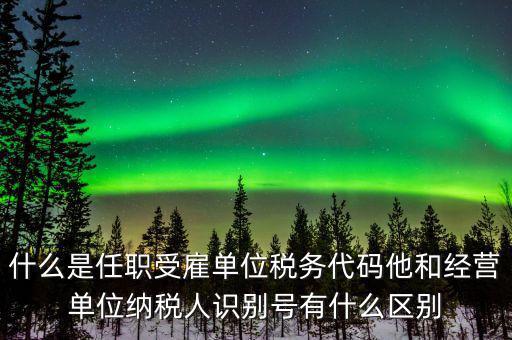 報(bào)稅自然人識(shí)別號(hào)是什么，個(gè)稅申報(bào)顯示存在相同唯一識(shí)別號(hào)是什么意思