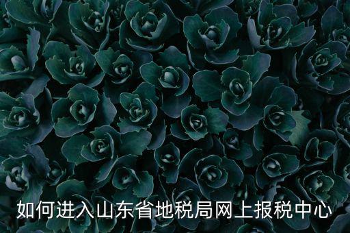 山東地稅密碼是什么，我在山東地稅網(wǎng)上報稅密碼怎么查