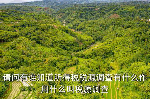 稅源調(diào)查是什么，稅源調(diào)查的數(shù)據(jù)是不是作為交稅的依據(jù)