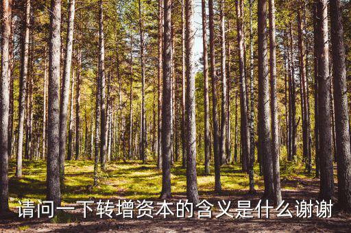 什么是利潤轉(zhuǎn)增資，什么叫轉(zhuǎn)增資本通俗一點(diǎn)越白話越好