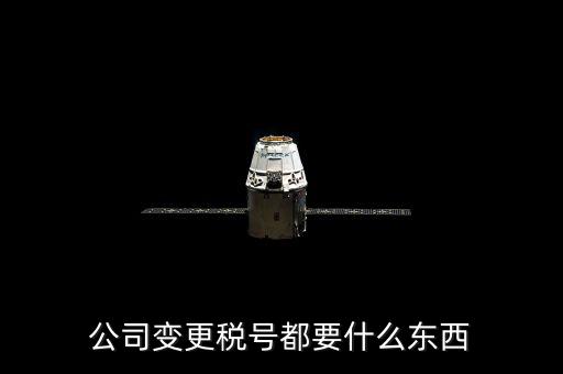 什么情況下變更稅號(hào)，公司變更稅號(hào)都要什么東西