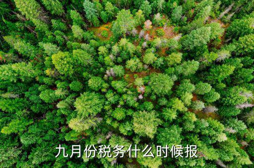 2017年9月份的稅什么報(bào)完，誰(shuí)知道今年9月的個(gè)人所得稅怎么報(bào)怎么來(lái)計(jì)算的