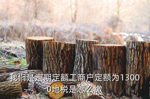 地稅定期定額戶是什么意思，我們是定期定額工商戶定額為13000地稅是怎么繳