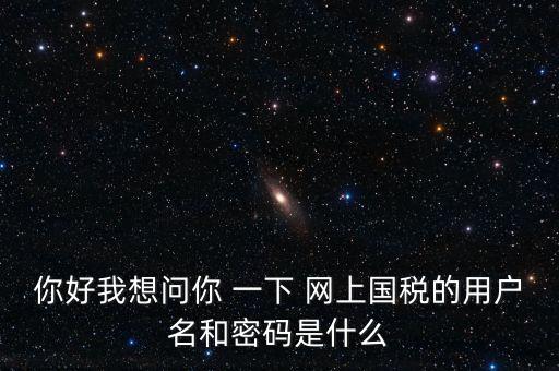 什么是電子稅務(wù)局密碼，你好我想問你 一下 網(wǎng)上國稅的用戶名和密碼是什么