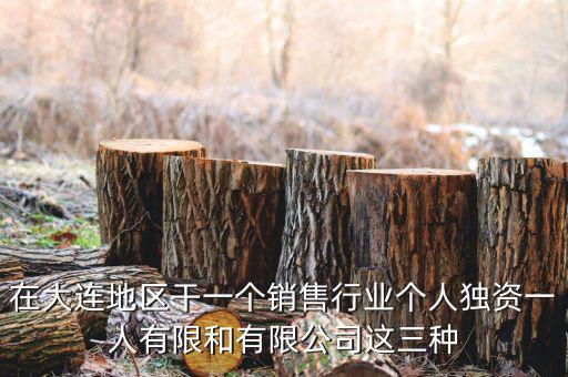 在大連地區(qū)干一個(gè)銷(xiāo)售行業(yè)個(gè)人獨(dú)資一人有限和有限公司這三種