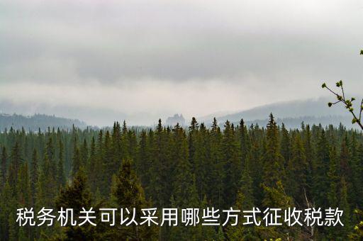 稅務(wù)局按什么征收稅務(wù)，稅務(wù)機(jī)關(guān)可以采用哪些方式征收稅款